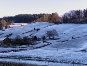 Scheintlinsbüchel
